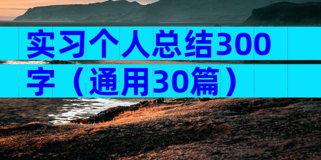 实习个人总结300字（通用30篇）