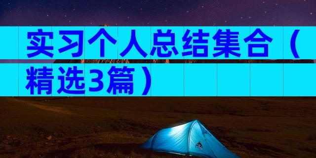 实习个人总结集合（精选3篇）