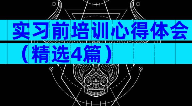 实习前培训心得体会（精选4篇）