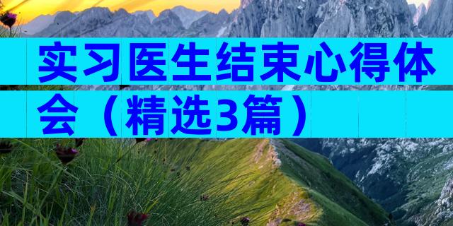 实习医生结束心得体会（精选3篇）