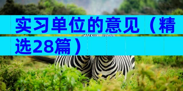 实习单位的意见（精选28篇）