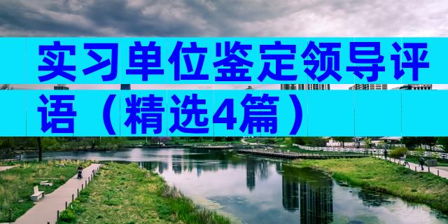 实习单位鉴定领导评语（精选4篇）