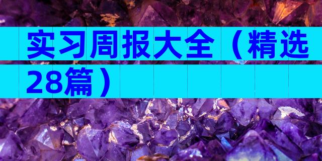 实习周报大全（精选28篇）