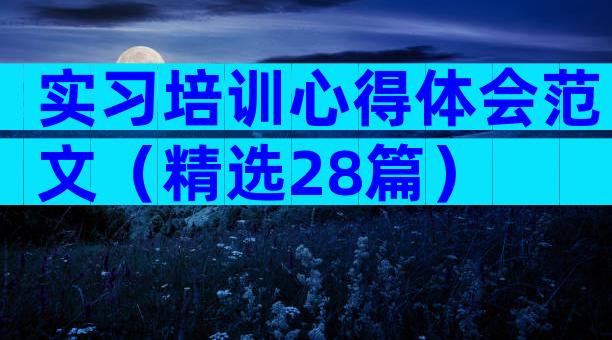 实习培训心得体会范文（精选28篇）