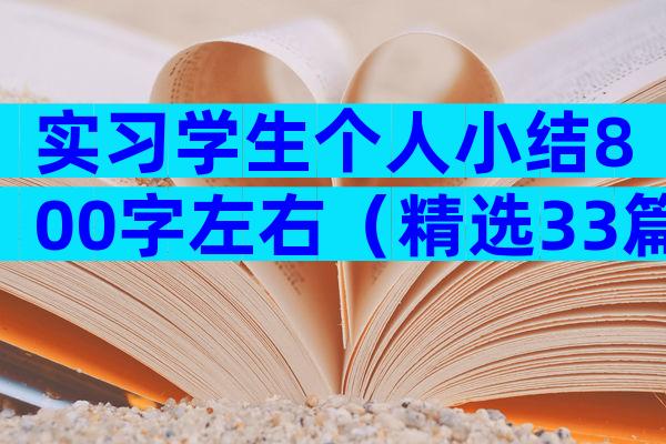 实习学生个人小结800字左右（精选33篇）