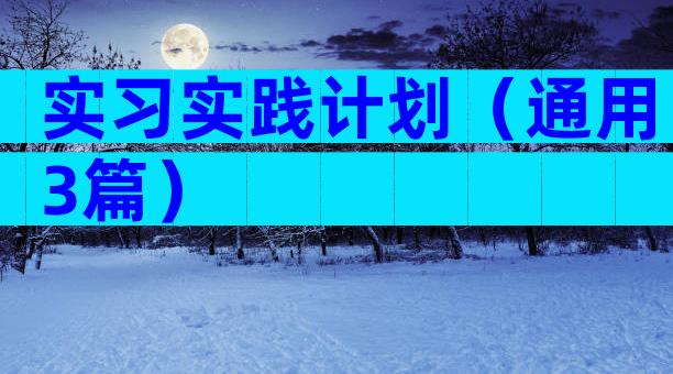实习实践计划（通用3篇）