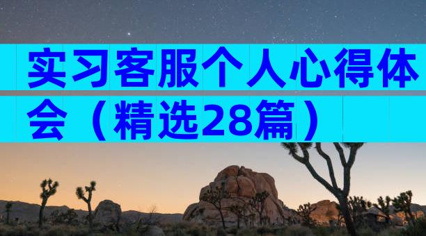 实习客服个人心得体会（精选28篇）