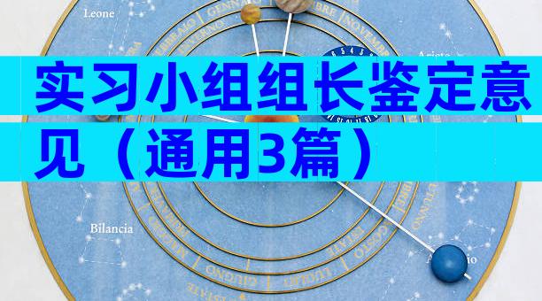 实习小组组长鉴定意见（通用3篇）