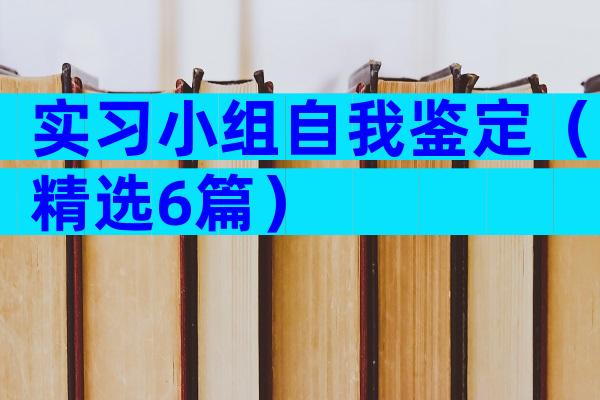 实习小组自我鉴定（精选6篇）
