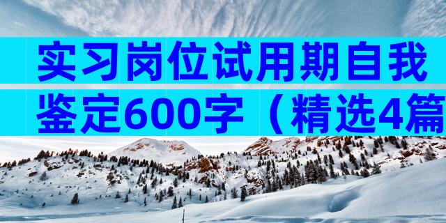 实习岗位试用期自我鉴定600字（精选4篇）