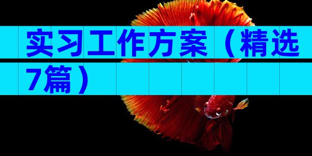 实习工作方案（精选7篇）