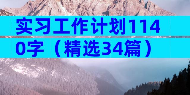 实习工作计划1140字（精选34篇）