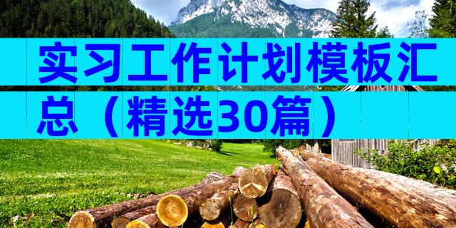 实习工作计划模板汇总（精选30篇）