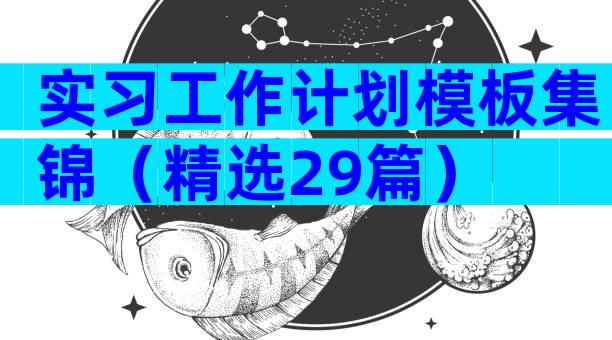 实习工作计划模板集锦（精选29篇）
