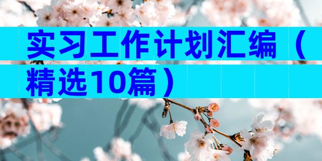 实习工作计划汇编（精选10篇）