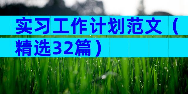 实习工作计划范文（精选32篇）