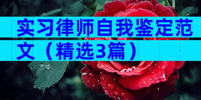实习律师自我鉴定范文（精选3篇）