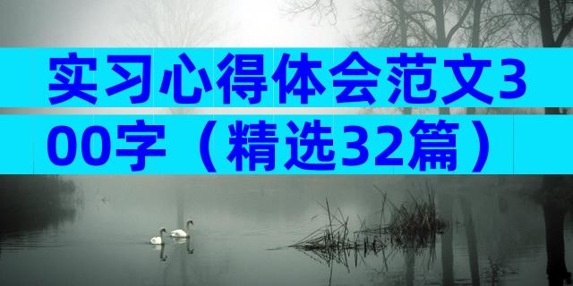 实习心得体会范文300字（精选32篇）
