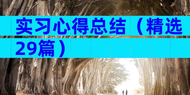 实习心得总结（精选29篇）
