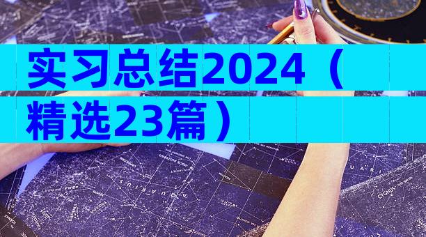 实习总结2024（精选23篇）