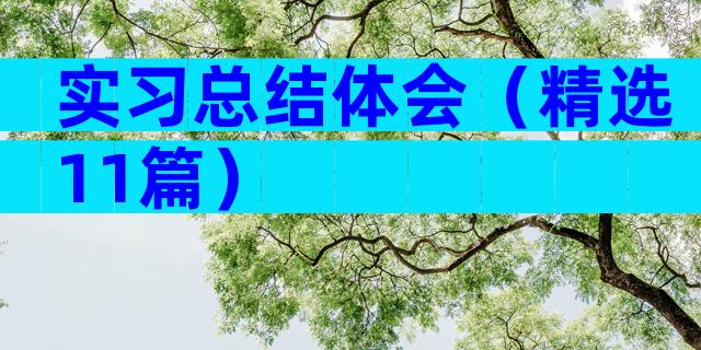 实习总结体会（精选11篇）
