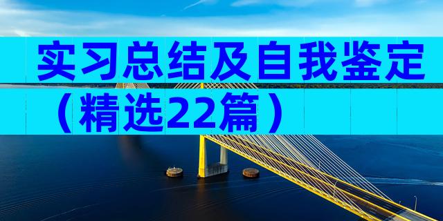 实习总结及自我鉴定（精选22篇）