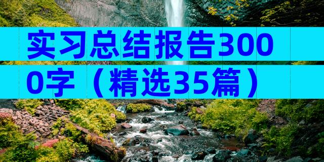 实习总结报告3000字（精选35篇）