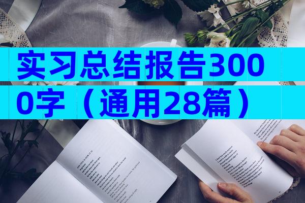 实习总结报告3000字（通用28篇）
