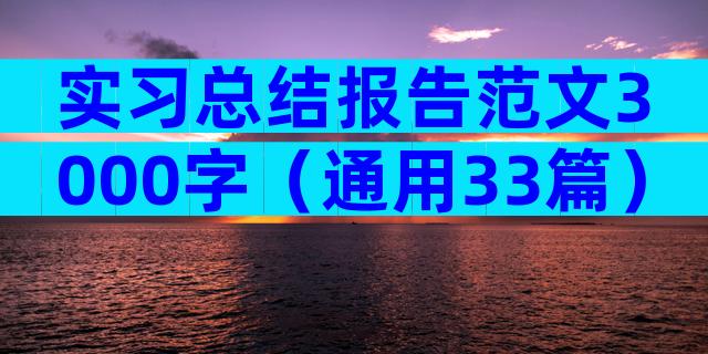 实习总结报告范文3000字（通用33篇）