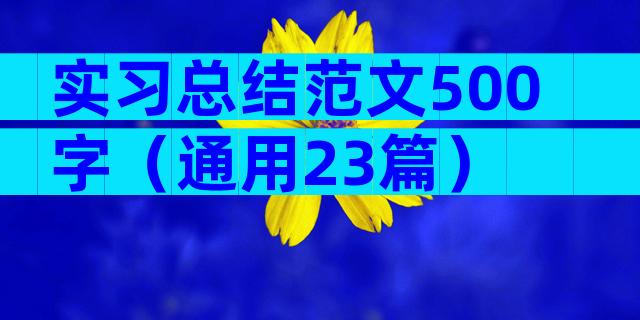 实习总结范文500字（通用23篇）