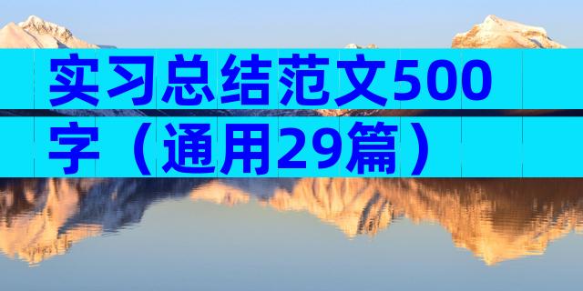 实习总结范文500字（通用29篇）