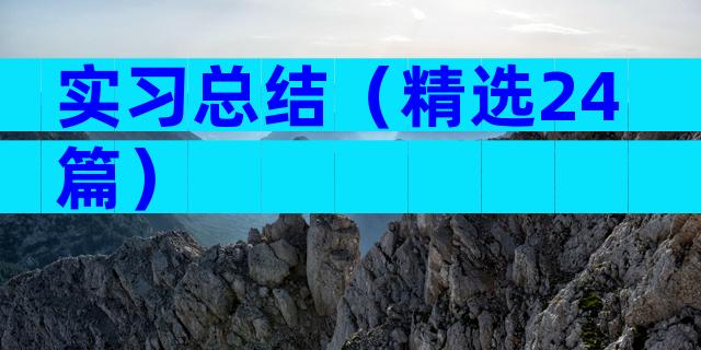 实习总结（精选24篇）