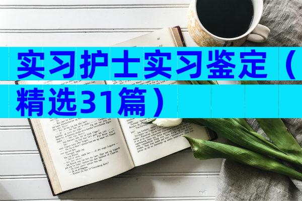 实习护士实习鉴定（精选31篇）