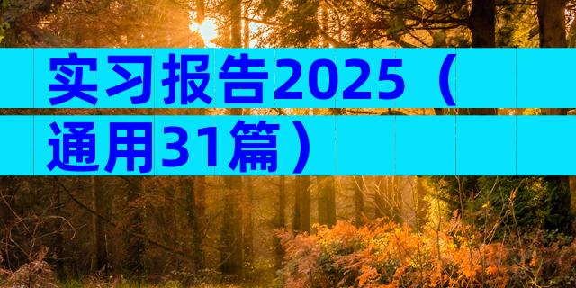 实习报告2025（通用31篇）