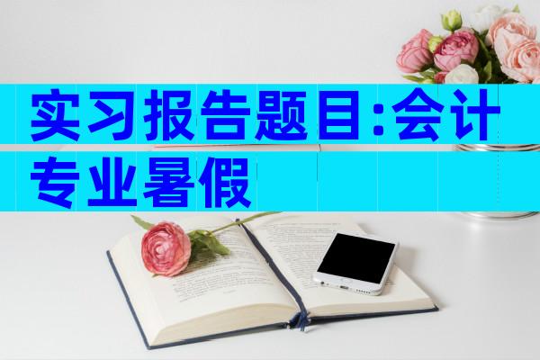 实习报告题目:会计专业暑假