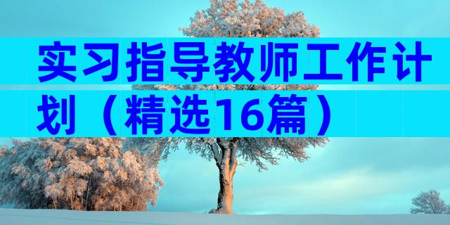 实习指导教师工作计划（精选16篇）