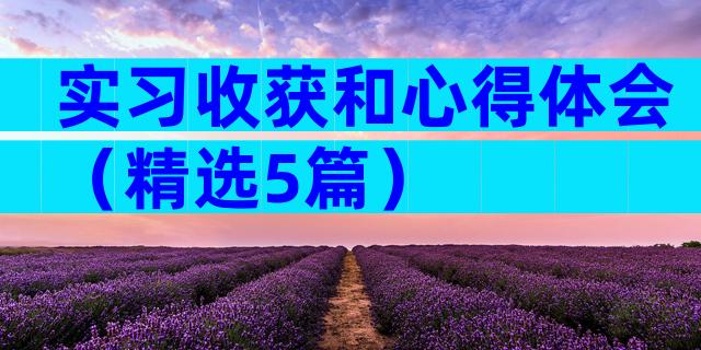 实习收获和心得体会（精选5篇）