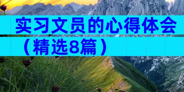 实习文员的心得体会（精选8篇）