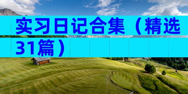 实习日记合集（精选31篇）