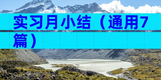 实习月小结（通用7篇）