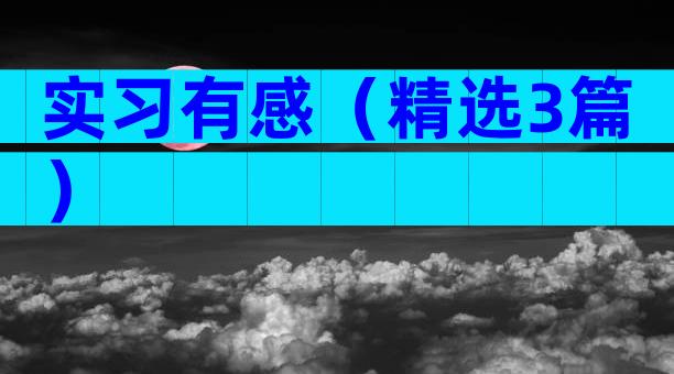 实习有感（精选3篇）