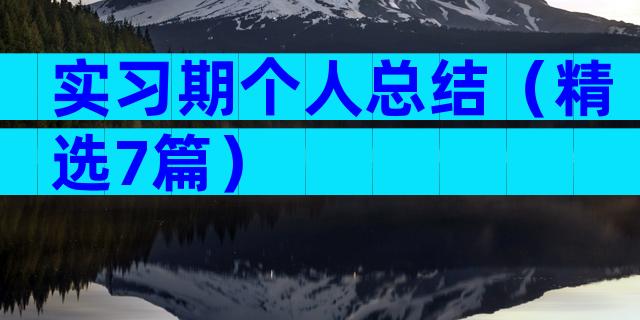 实习期个人总结（精选7篇）