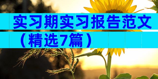 实习期实习报告范文（精选7篇）