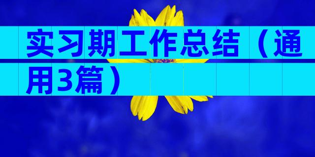 实习期工作总结（通用3篇）