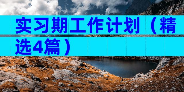 实习期工作计划（精选4篇）