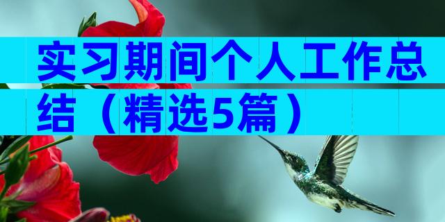 实习期间个人工作总结（精选5篇）