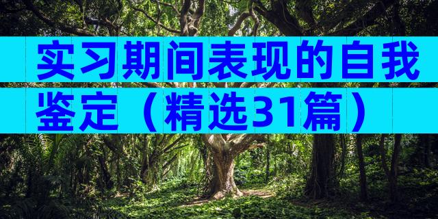实习期间表现的自我鉴定（精选31篇）