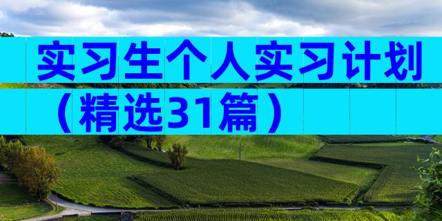 实习生个人实习计划（精选31篇）
