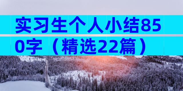 实习生个人小结850字（精选22篇）