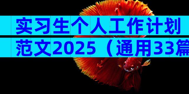 实习生个人工作计划范文2025（通用33篇）